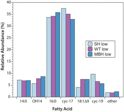 Minimal Influence of [NiFe] Hydrogenase on Hydrogen Isotope Fractionation in H2-Oxidizing Cupriavidus necator